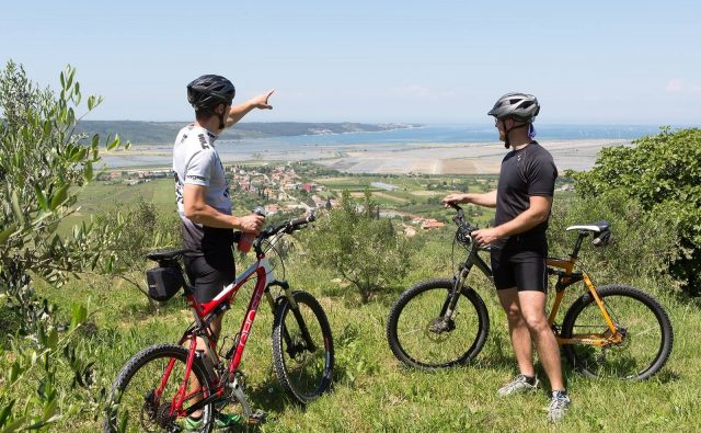 kolesarjenje-soline-za-kolektive