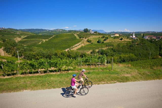 kolesarjenje-med-vinogradi