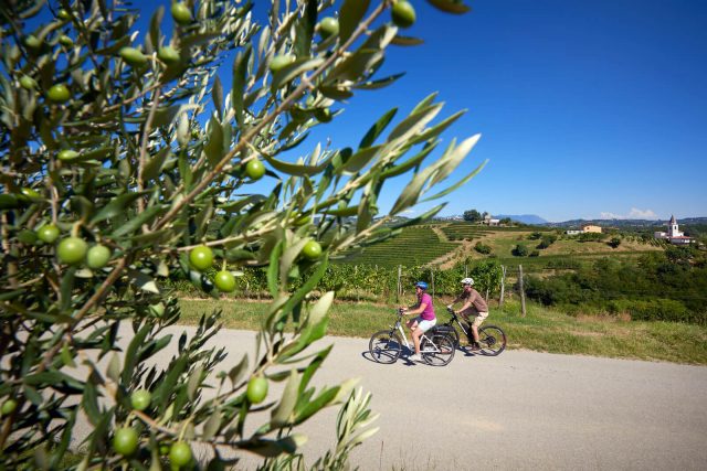 kolesarski-izleti-za-skupine