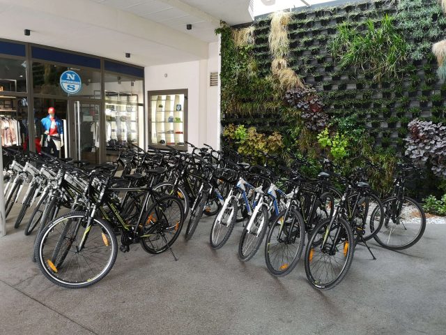 dostava-koles-za-skupino-portoroz